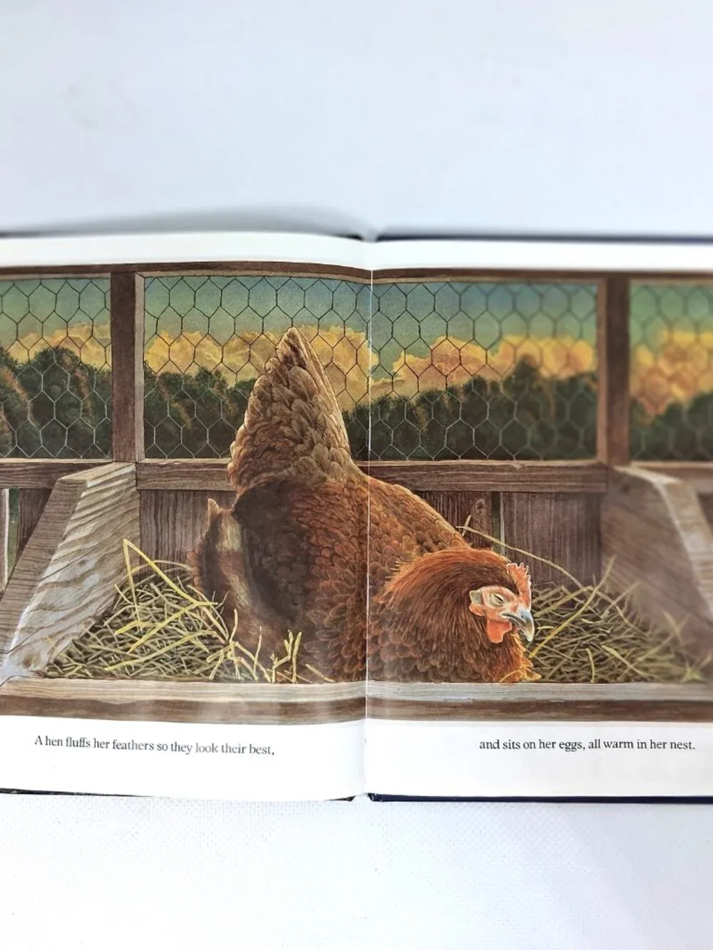 Going To Sleep On The Farm by Wendy Cheyette Lewison, Children's Book